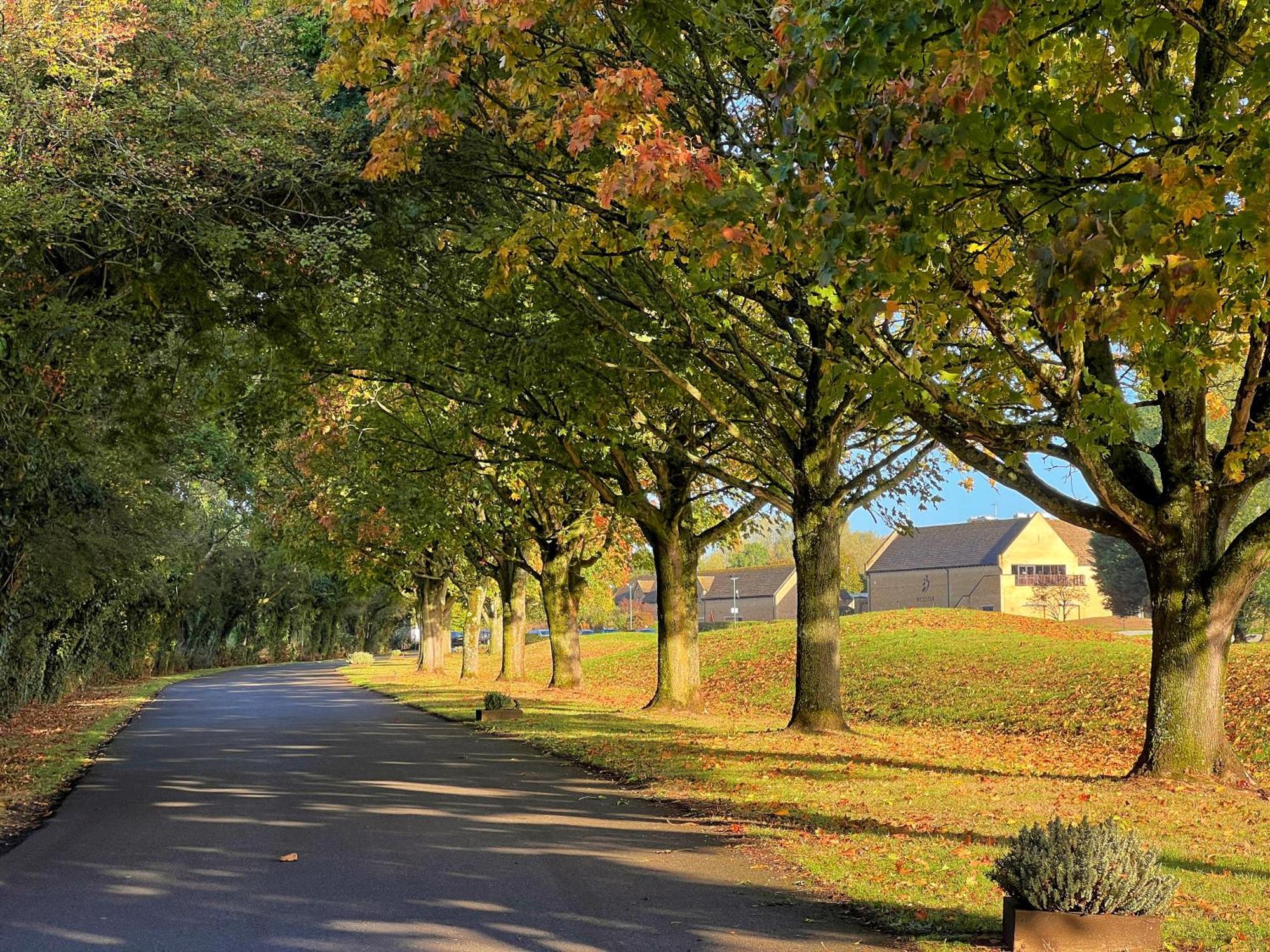 Bicester Hotel, Golf & Spa Eksteriør billede